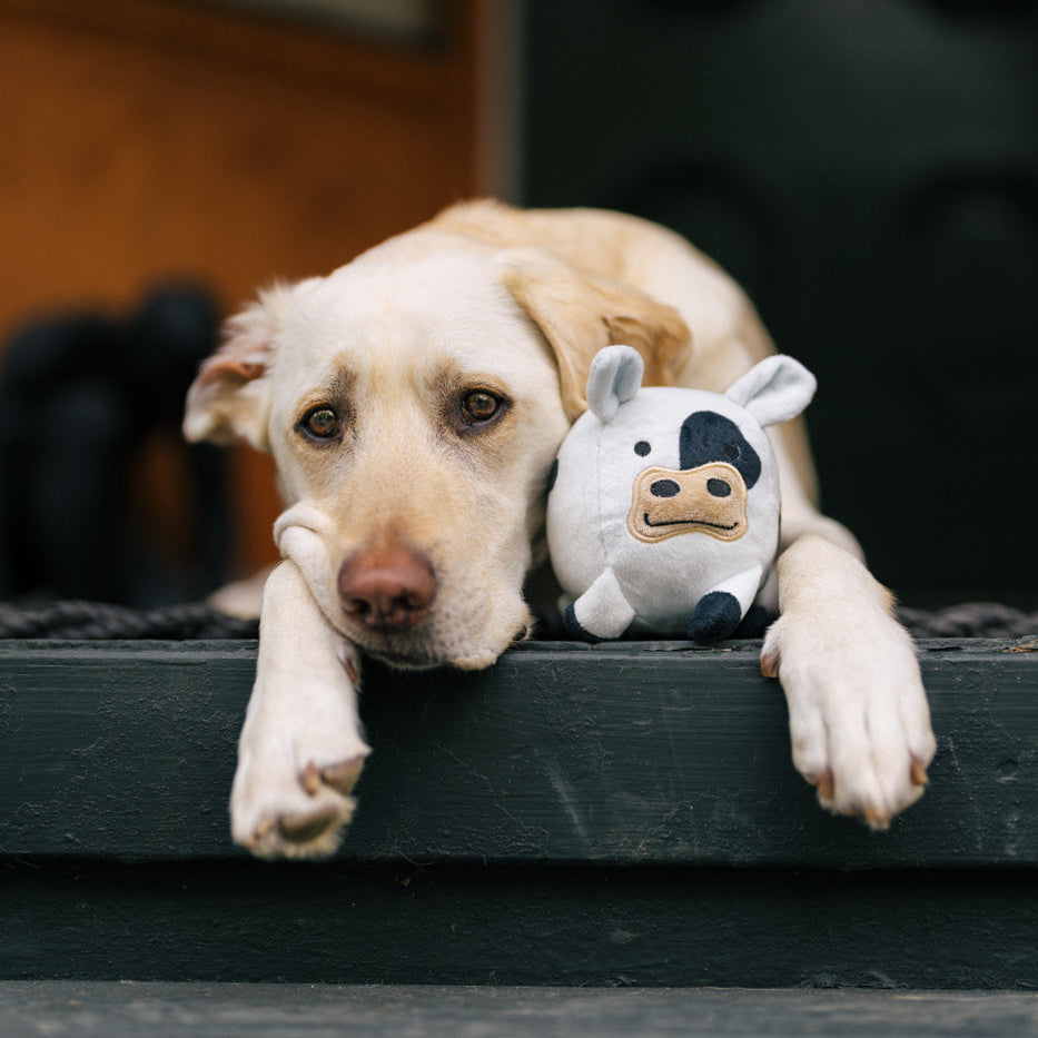 NEW!  P.L.A.Y. Barnyard Buddies - Cole the Cow