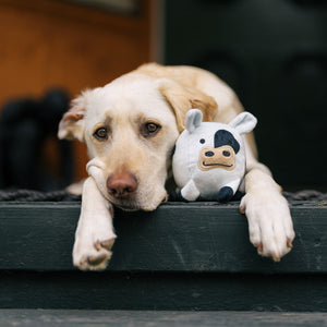 NEW!  P.L.A.Y. Barnyard Buddies - Cole the Cow