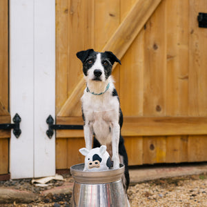 NEW!  P.L.A.Y. Barnyard Buddies - Cole the Cow