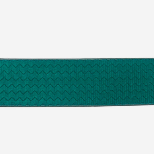 Zee.Dog Leash - NeoPro Amazonia