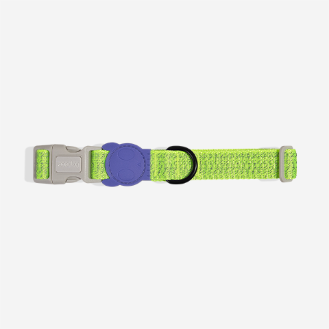 Ltd Edition, Sold Out : Zee.Dog Collar - Nox Lumen Reflective
