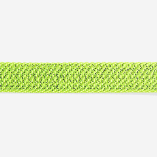 Ltd Edition, Sold Out : Zee.Dog Collar - Nox Lumen Reflective