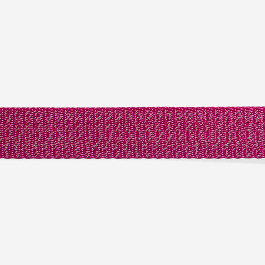 Ltd Edition, Sold Out : Zee.Dog Collar - Nox Sidus Reflective