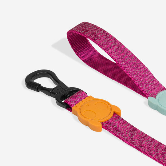 Ltd Edition, Sold Out : Zee.Dog Leash - Sidus Reflective