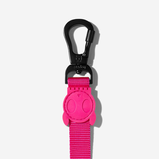Zee.Dog Leash - Pink LED