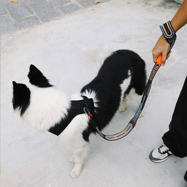Zee.Dog Nit Leash - Chron