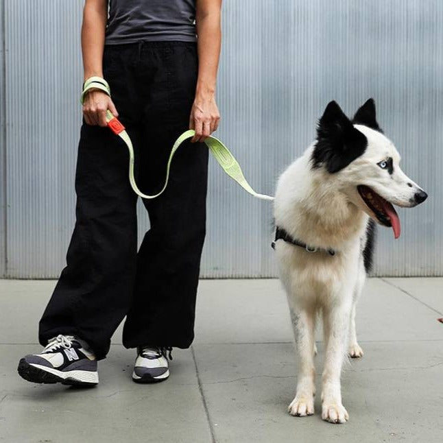 
            
                Load image into Gallery viewer, ** ALMOST SOLD OUT ** Zee.Dog Nit Leash - Gluten
            
        