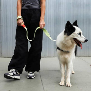 ** ALMOST SOLD OUT ** Zee.Dog Nit Leash - Gluten