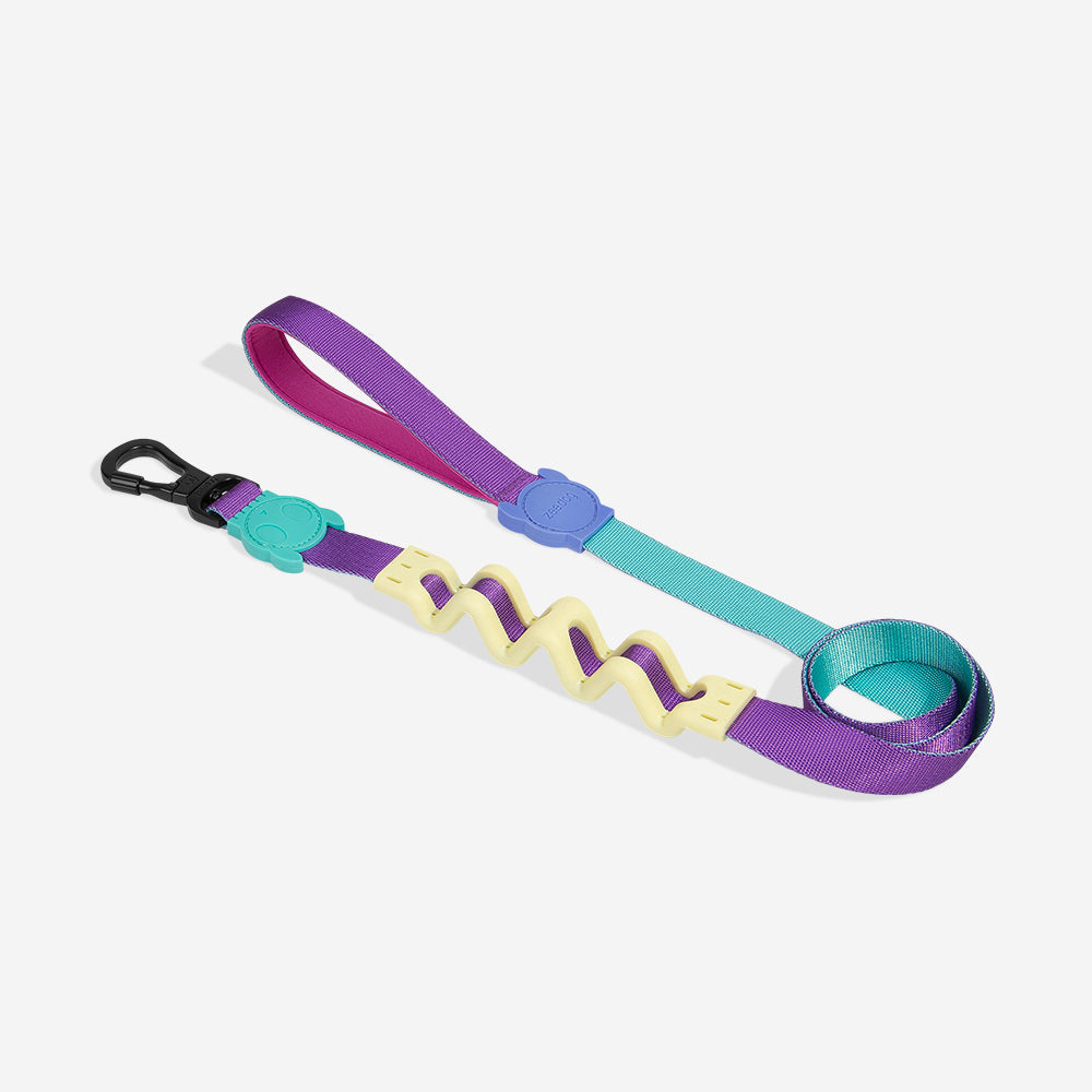 Ltd Edition, Sold Out : Zee.Dog Shock Absorbing Ruff Leash - Shockwave