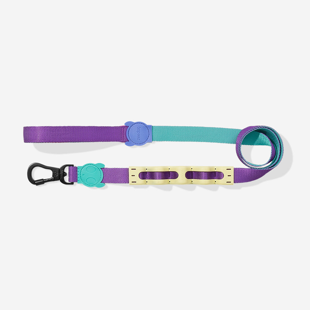 Ltd Edition, Sold Out : Zee.Dog Shock Absorbing Ruff Leash - Shockwave