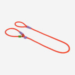 Zee.Dog Slip-N-Lock Leash - Everest