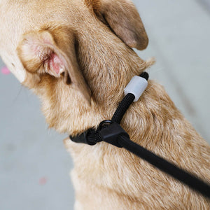 Zee.Dog Slip-N-Lock Leash - Gotham