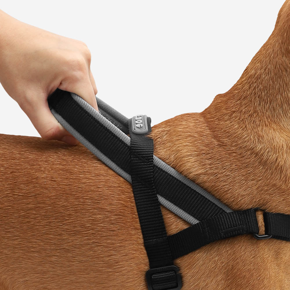 Zee.Dog Softer Walk Harness - Gotham