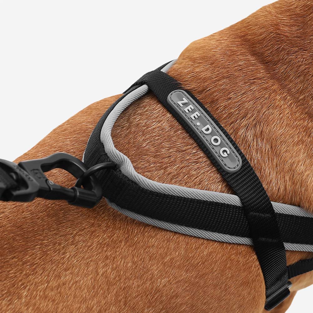 Zee.Dog Softer Walk Harness - Gotham