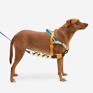 Ltd Edition, Sold Out : Zee.Dog Softer Walk Harness - Voyage