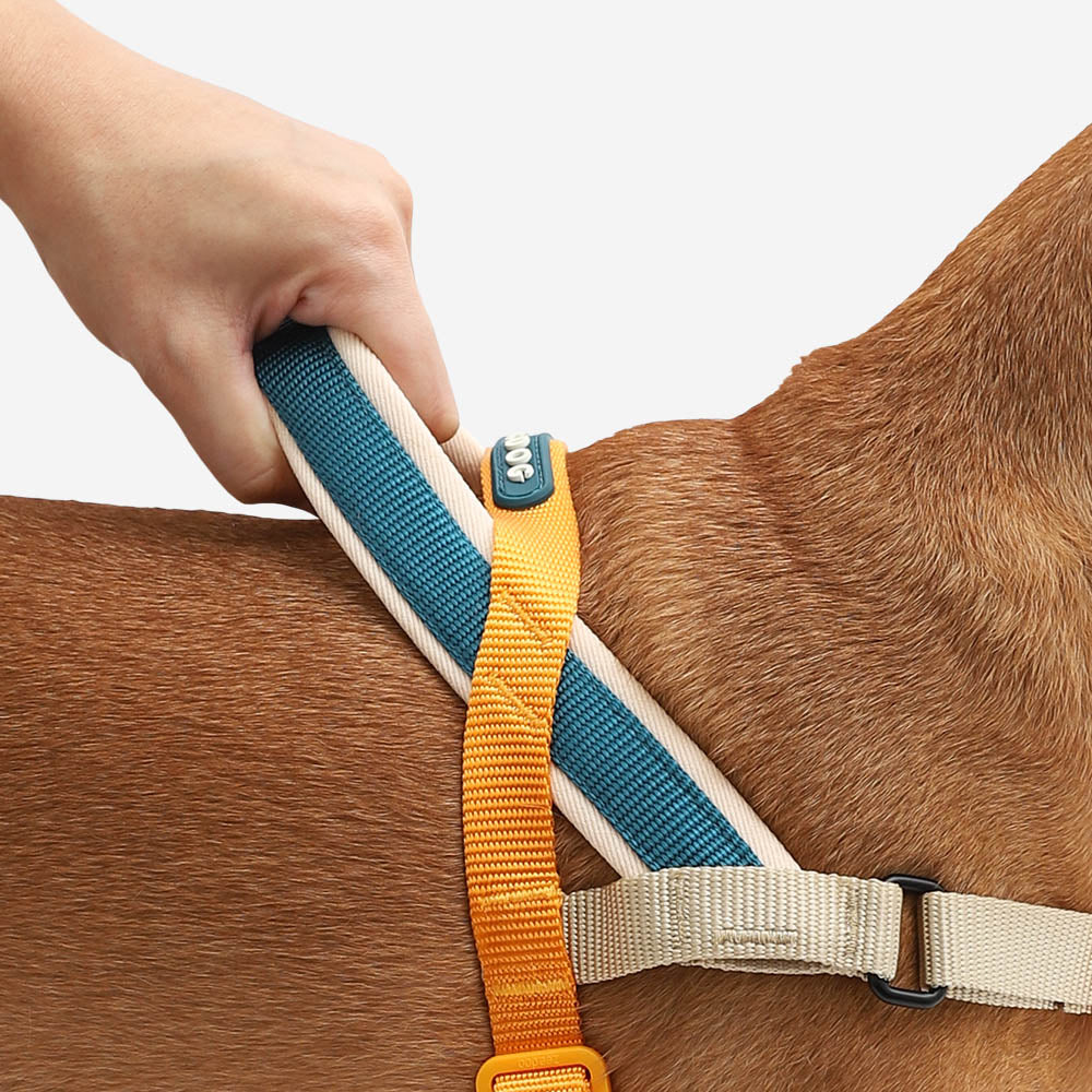 Ltd Edition, Sold Out : Zee.Dog Softer Walk Harness - Voyage