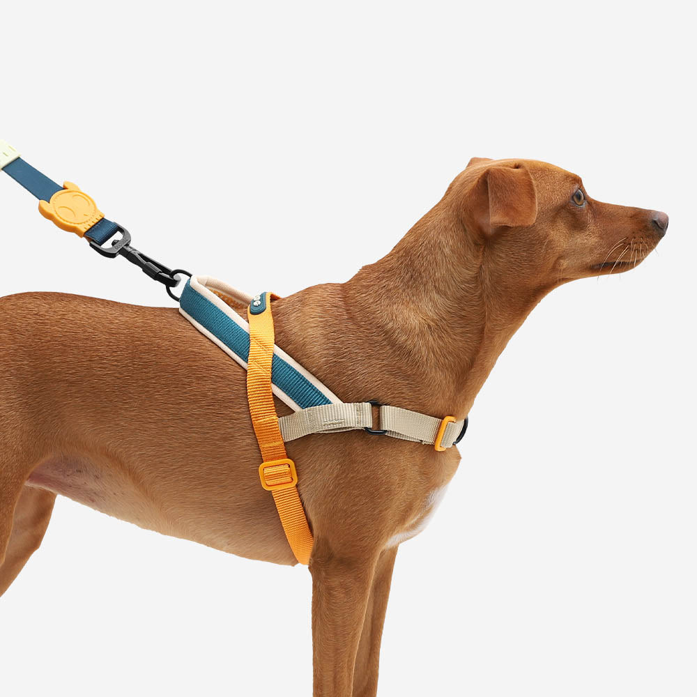 Ltd Edition, Sold Out : Zee.Dog Softer Walk Harness - Voyage
