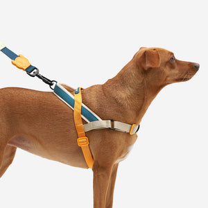 Ltd Edition, Sold Out : Zee.Dog Softer Walk Harness - Voyage