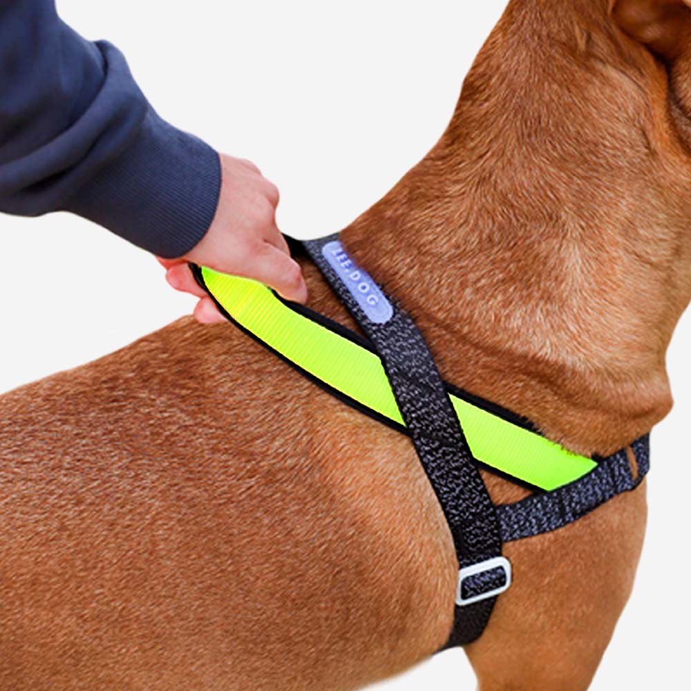 
            
                Load image into Gallery viewer, Ltd Edition, Sold Out : Zee.Dog Softer Walk Harness - Nox Reflective
            
        