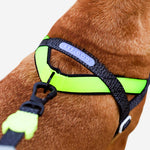 NEW!  Zee.Dog Softer Walk Harness - Nox Reflective