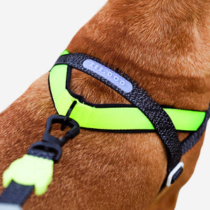 Ltd Edition, Sold Out : Zee.Dog Softer Walk Harness - Nox Reflective