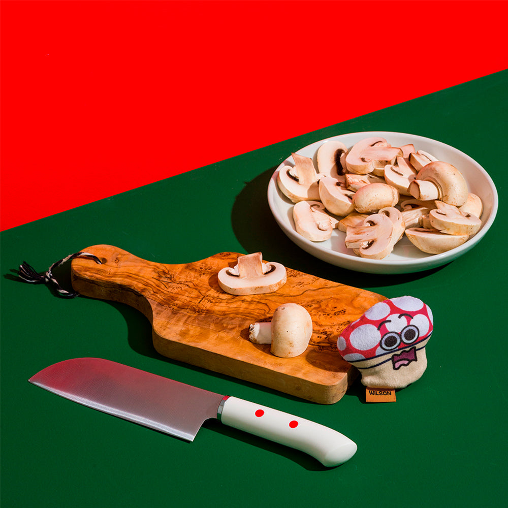 CDSG Cat Toy - Wilson Mushroom