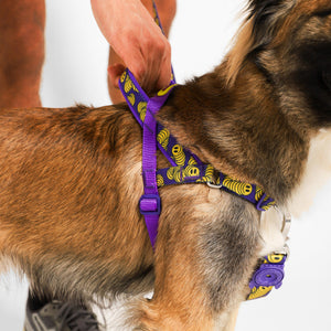 NEW!  Zee.Dog Softer Walk Harness - Zmiley
