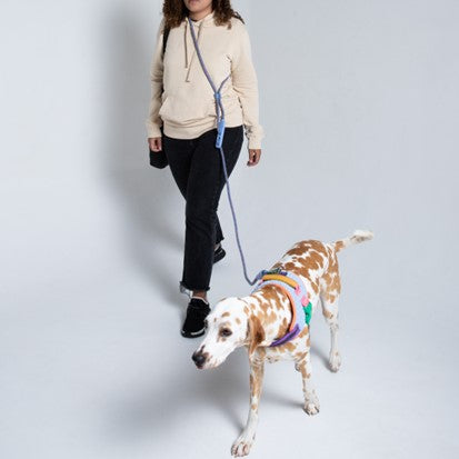 Ltd Edition, Sold Out : Zee.Dog Hands-Free Leash - Andromeda