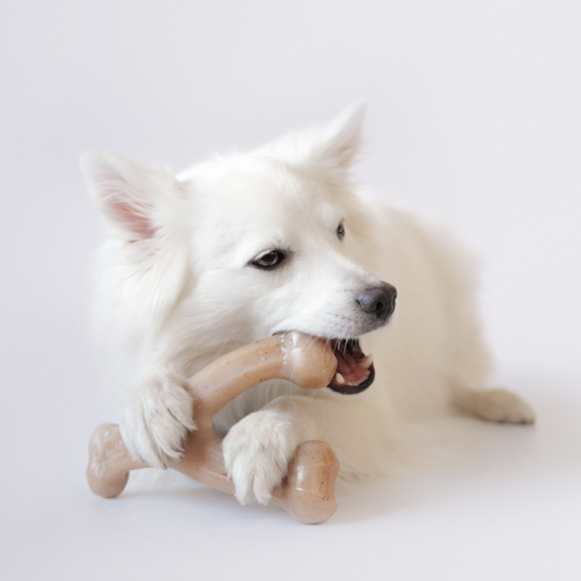 Benebone Wishbone - Chicken Small