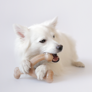 Benebone Wishbone - Chicken Small