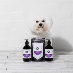 Melanie Newman PURIFY SHAMPOO 500ml