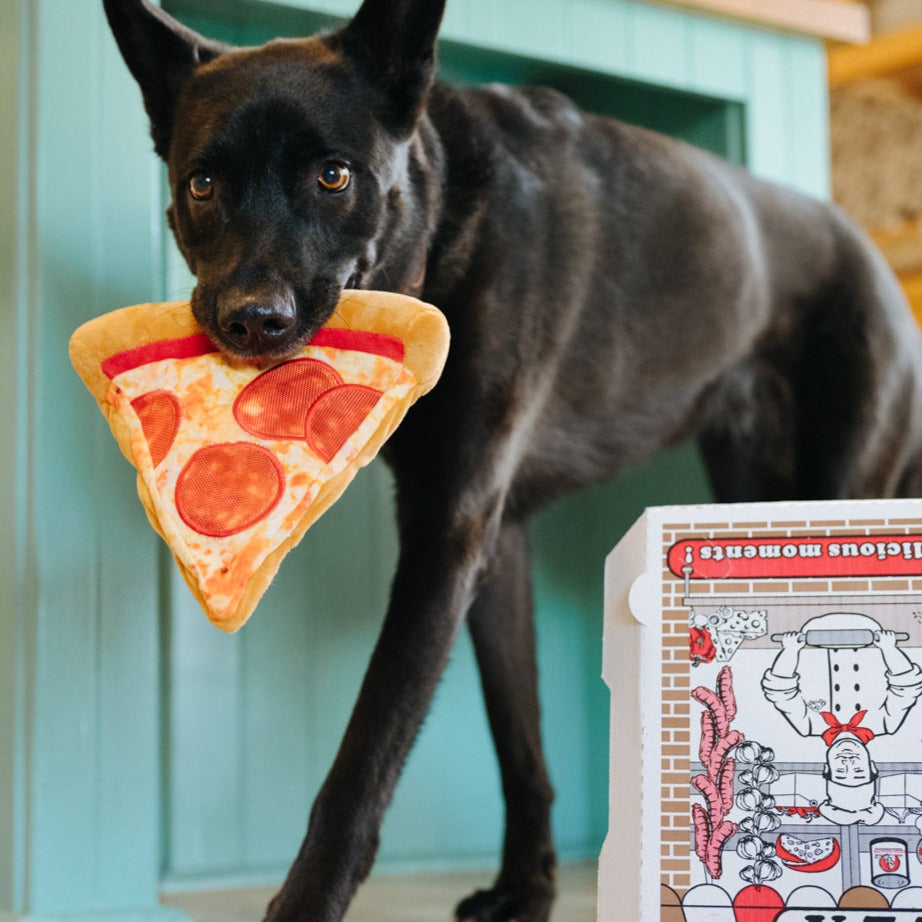 
            
                Load image into Gallery viewer, P.L.A.Y. Snack Attack - Puppy-roni Pizza
            
        