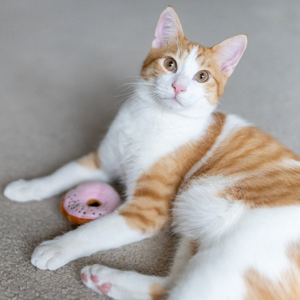 P.L.A.Y. Feline Frenzy - Kitty Kreme Doughnuts (3)