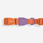 Ltd Edition, Sold Out : Zee.Dog Collar - Iris
