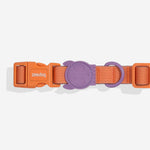 Ltd Edition, Sold Out : Zee.Dog Collar - Iris