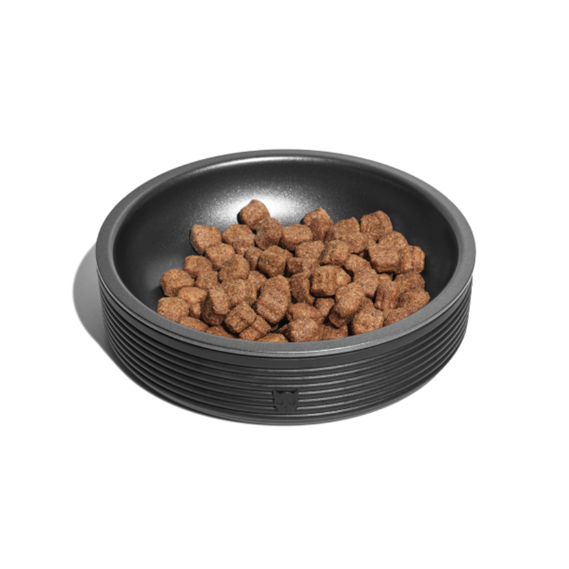 
            
                Load image into Gallery viewer, Zee.Cat - Duo Bowl Black
            
        