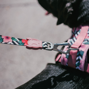 Ltd Edition, Sold Out : Zee.Dog Leash - Mahalo