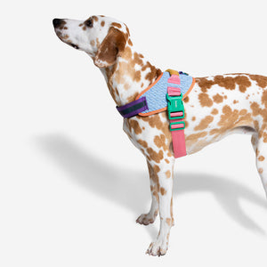 Zee.Dog Fly Harness - Galaxy