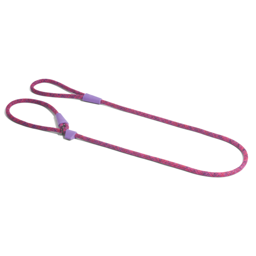 Ltd Edition, Sold Out : Zee.Dog Slip Leash - Cosmo