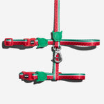 Zee.Cat Harness with Leash - Lola