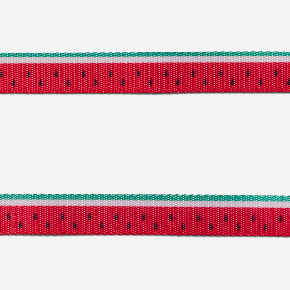 Ltd Edition, Sold Out : Zee.Cat Harness with Leash - Lola