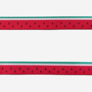 Ltd Edition, Sold Out : Zee.Cat Harness with Leash - Lola