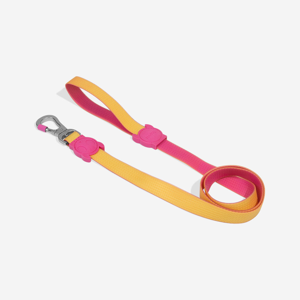 Ltd Edition, Sold Out : Zee.Dog Leash - NeoPro Lyra