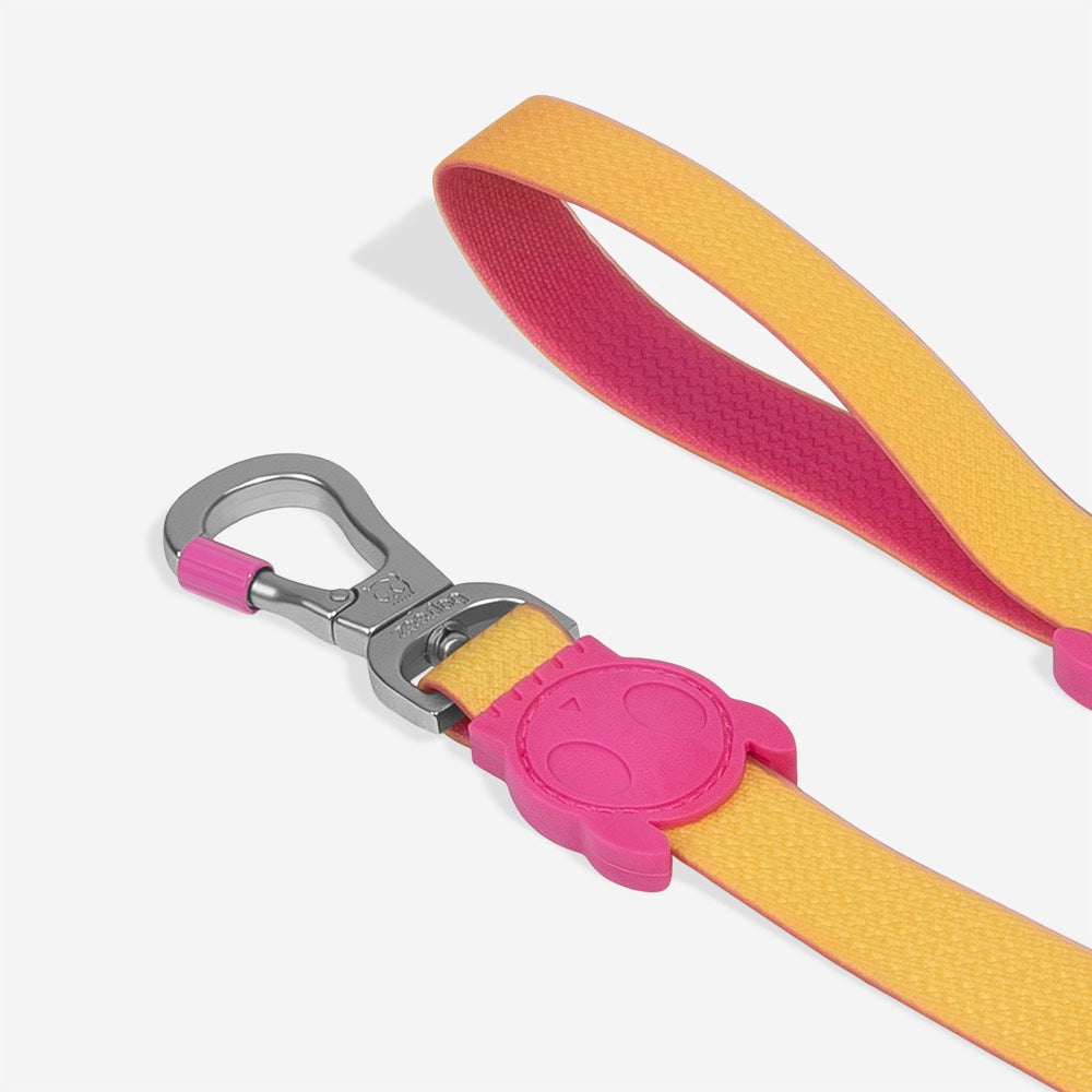 Ltd Edition, Sold Out : Zee.Dog Leash - NeoPro Lyra